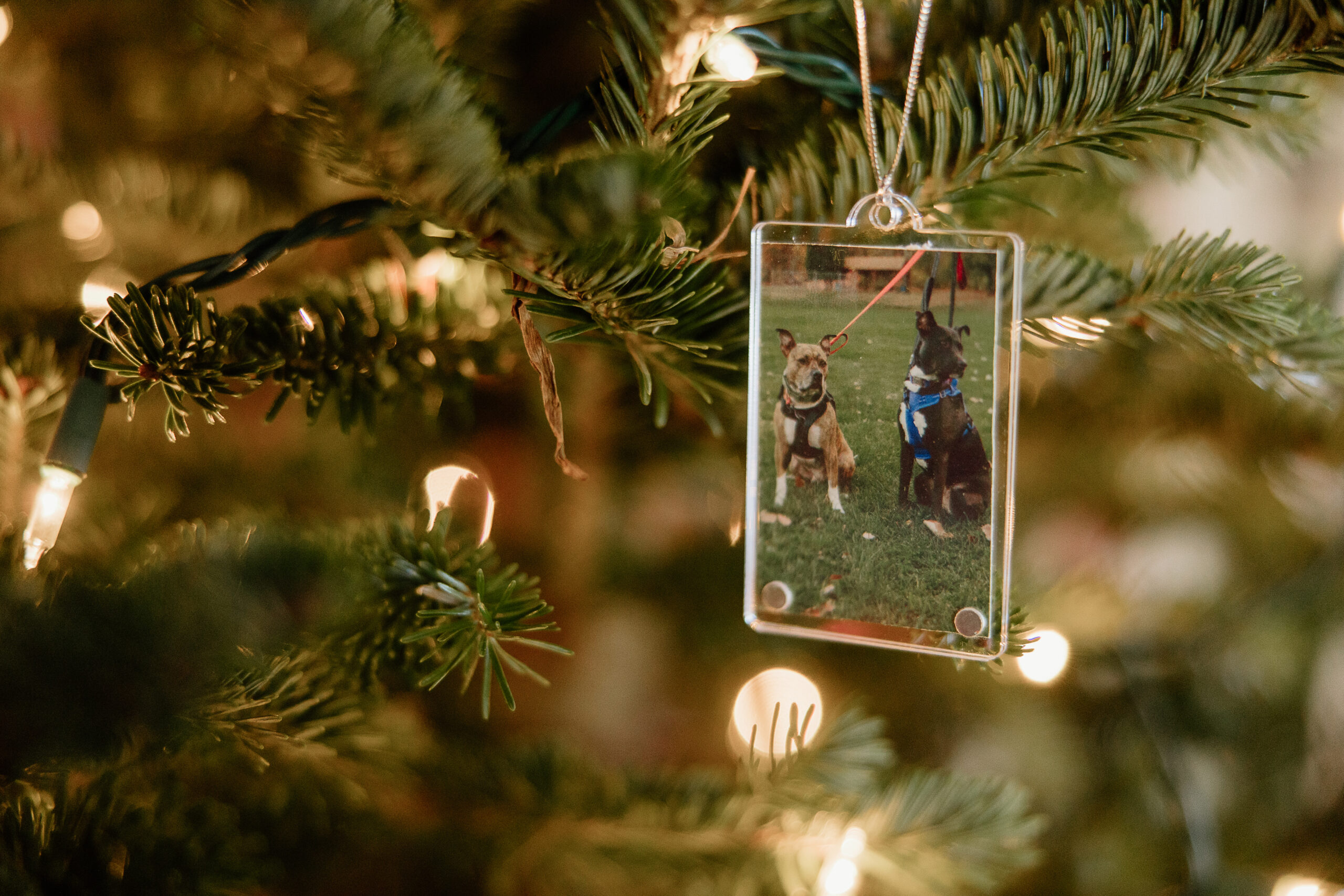 custom ornament photo